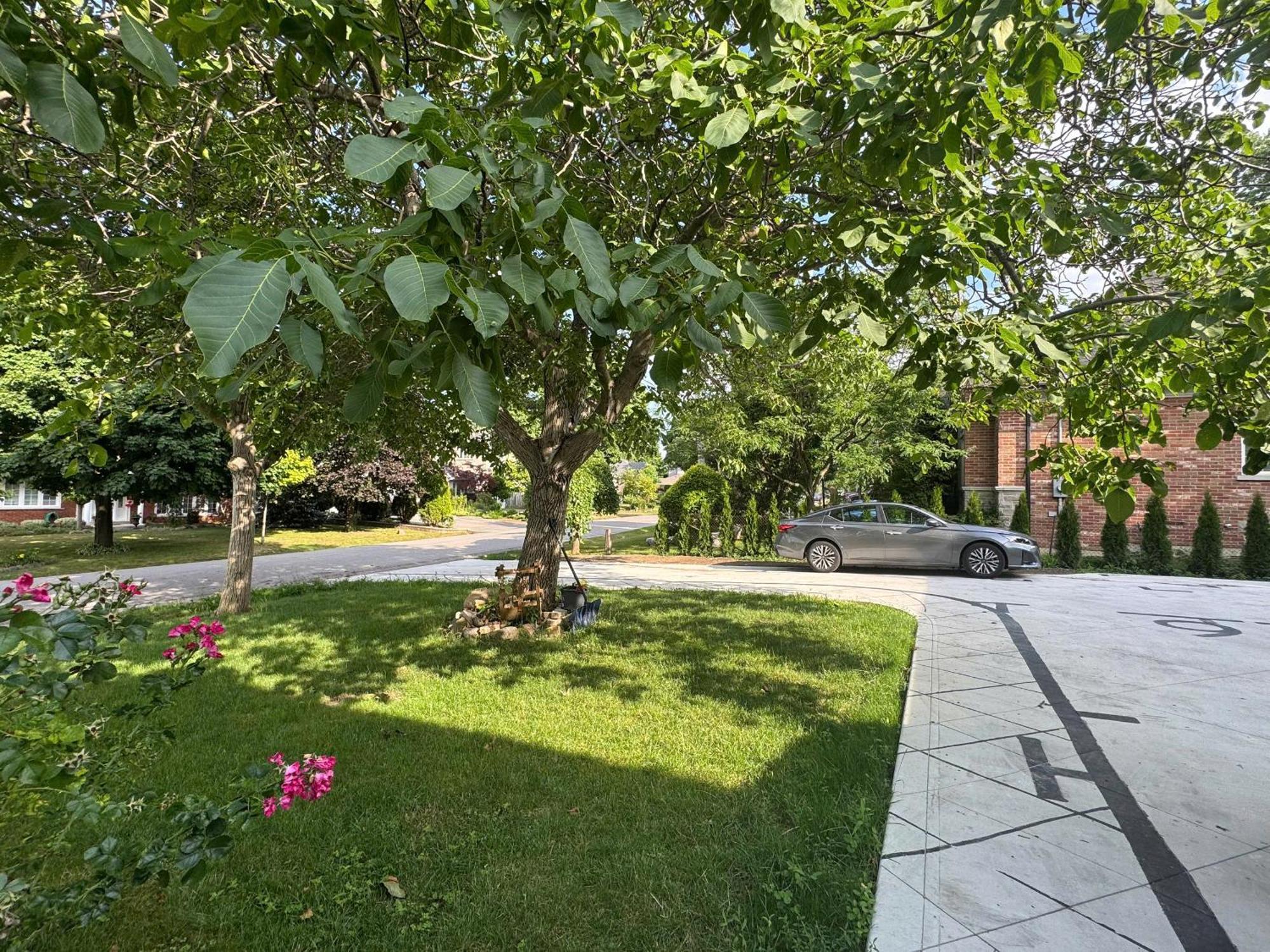 Entire Unit2 Airport Free Pkg Sep Entrance Newreno Apartment Toronto